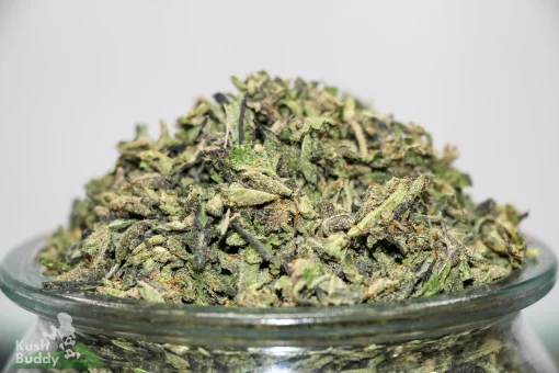 Platinum Shake Mix - AAA-AAAA Blend