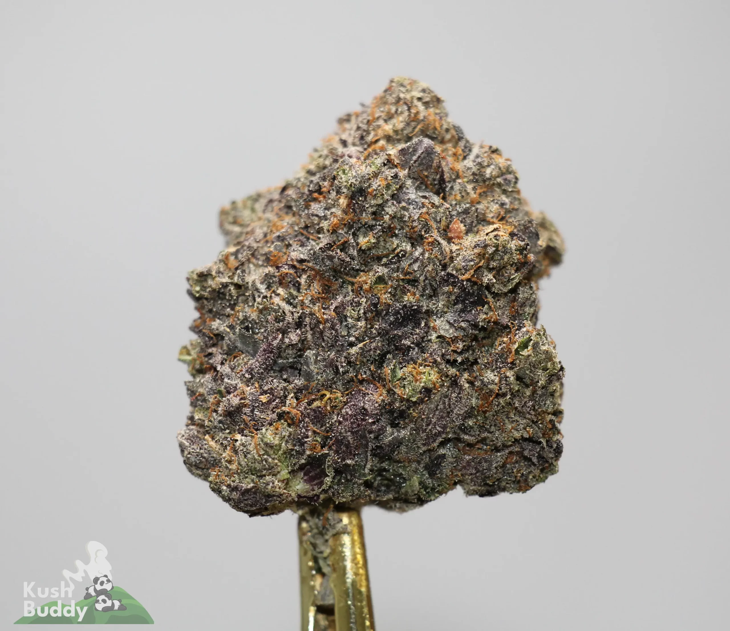 Black Series - Tom Ford Pink Kush (LSO) - Image 2