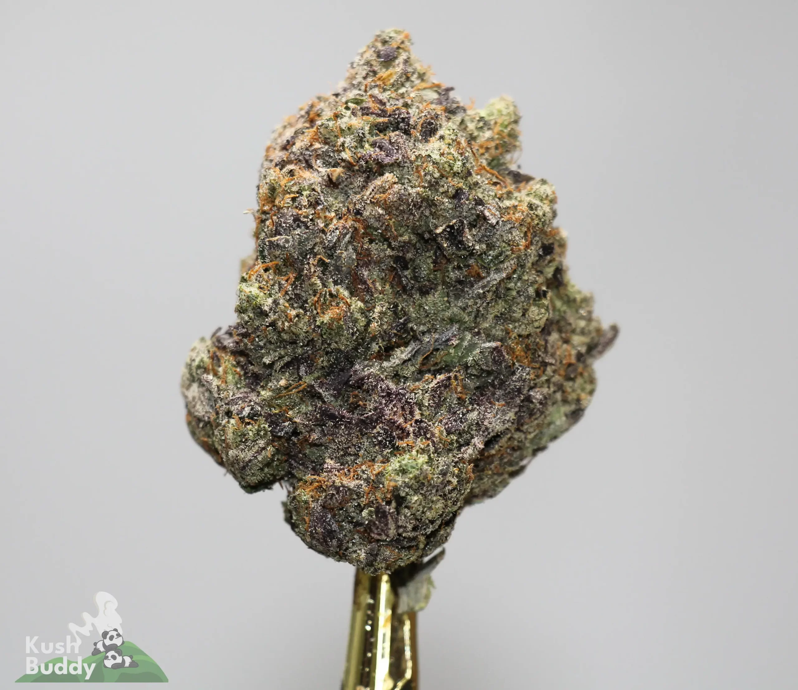 Black Series - Tom Ford Pink Kush (LSO) - Image 3