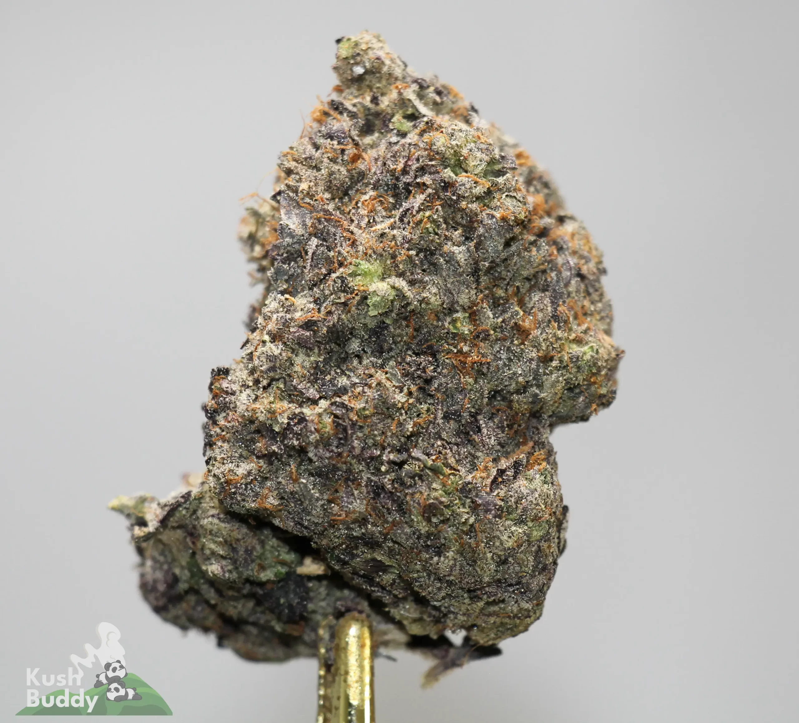 Black Series - Tom Ford Pink Kush (LSO)