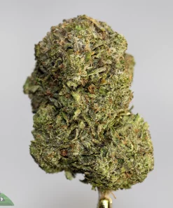 Black Series - Tom Ford Pink Kush - LSO