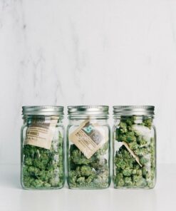 Boveda - 62% 4g - Protect up to 15g - Image 3