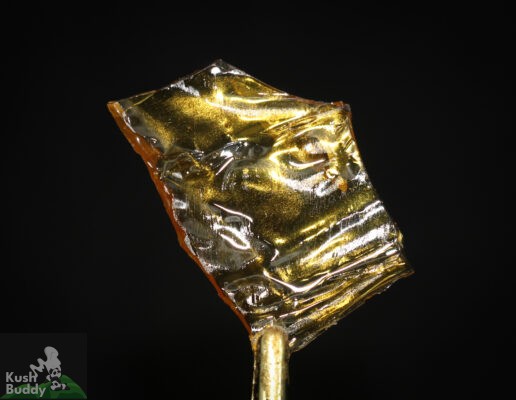 House Blend Shatter