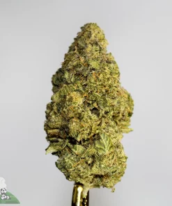 (AAA+) Gelato 45 Edition - Image 2