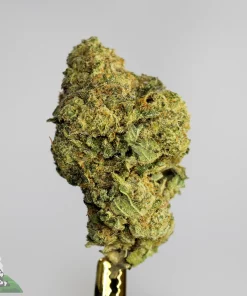(AAA+) Gelato 45 Edition - Image 3