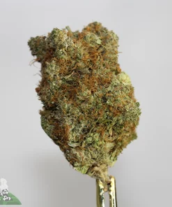 Black Series - Pink Tuna - Image 2