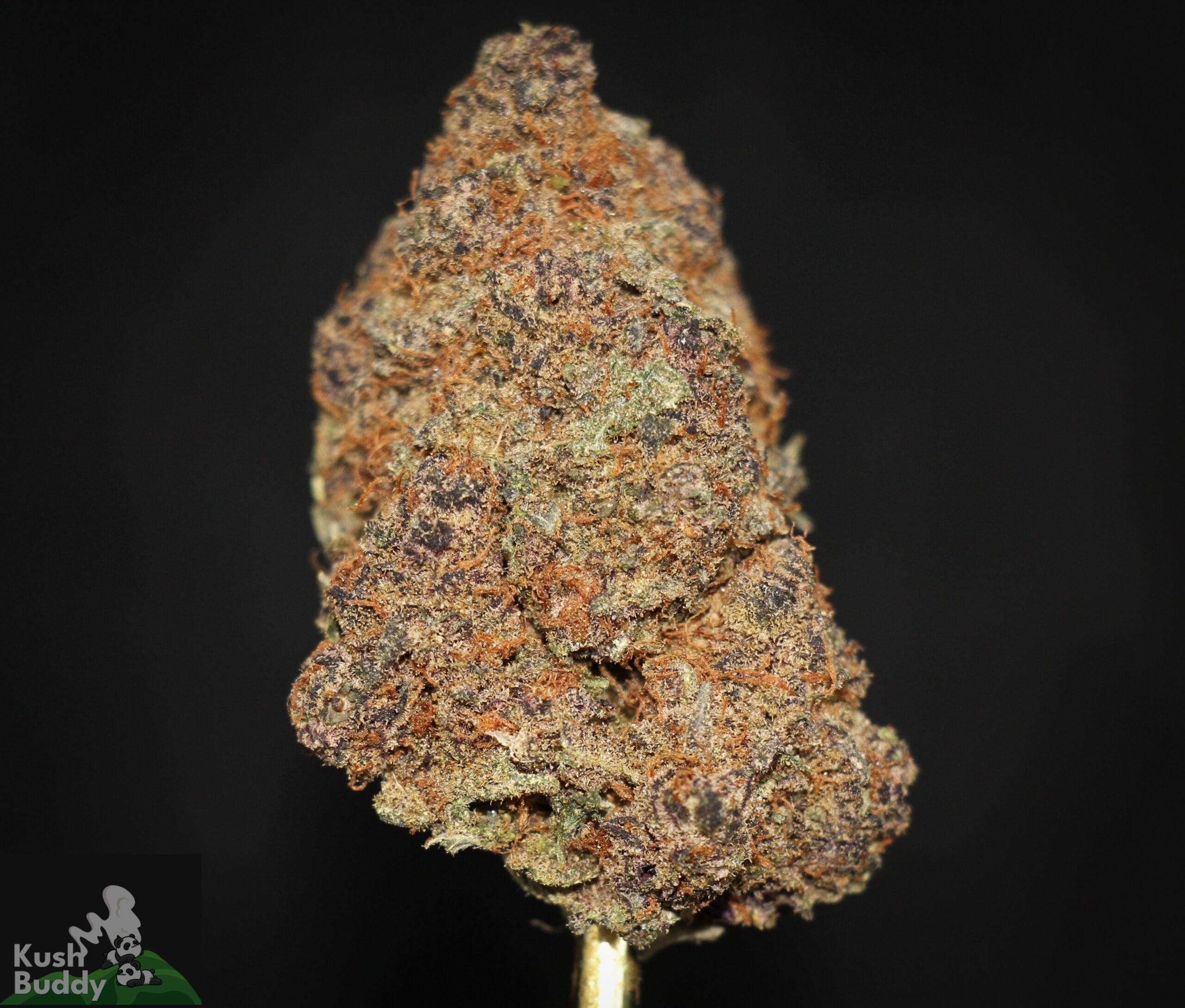 Buy Gelato Online Bulk Weed Strain Kush Buddy