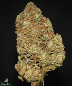 Black Series - Bulk - Gelato - Image 2