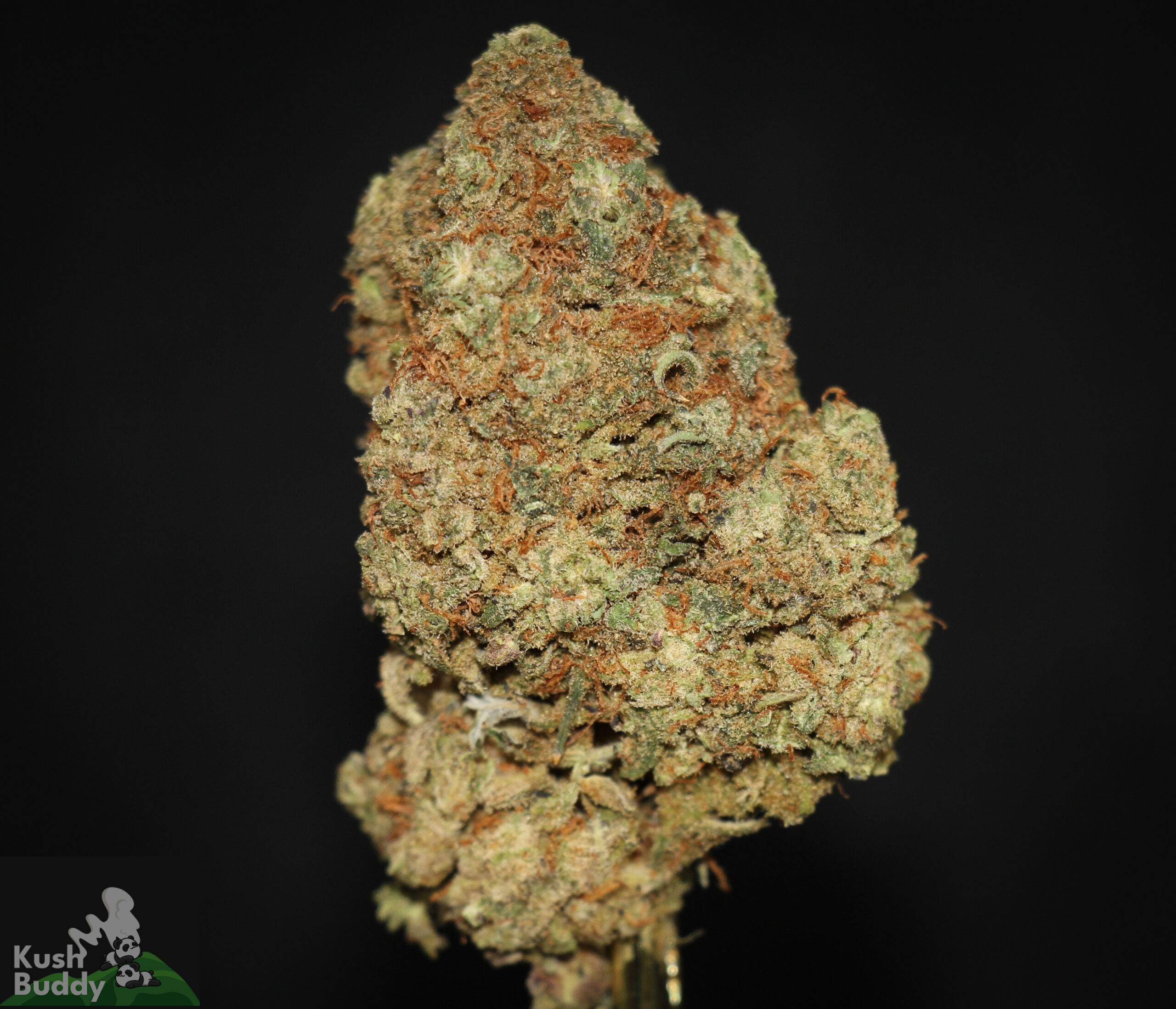 Black Series - Bulk - Gelato - Image 2