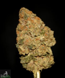 (AAA) Sour Tangie