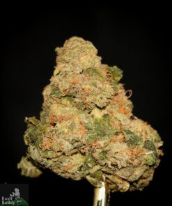 (AAA) Sour Tangie - Image 2