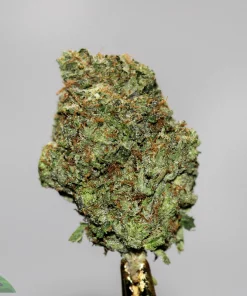 Black Series - 94 Octane x Death Bubba (LSO)