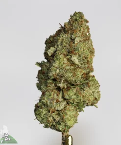 Weed dispensary near me