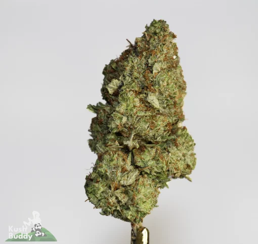 Weed dispensary near me