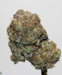 Black Series - Cali Bubba Kush - Image 2