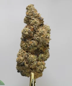(AAA+) Platinum Cherry Pie