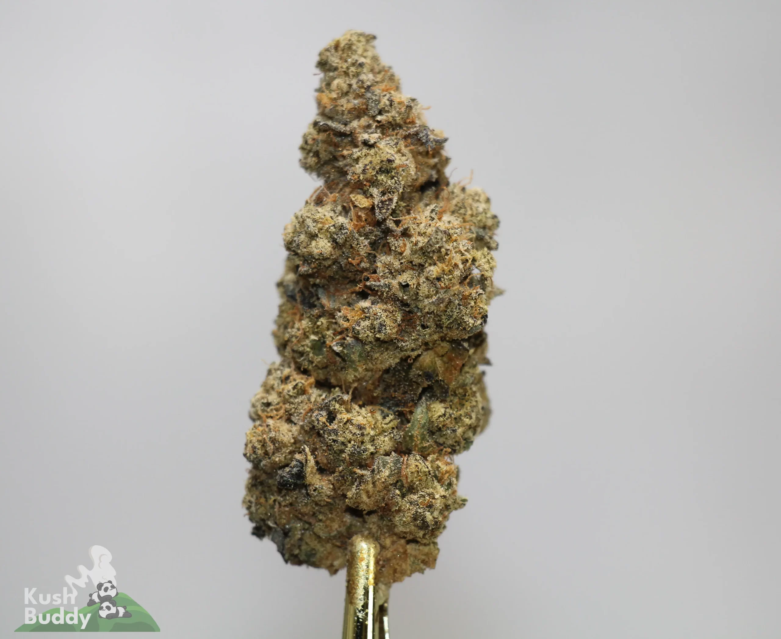 (AAA+ - Bulk) Platinum Cherry Pie