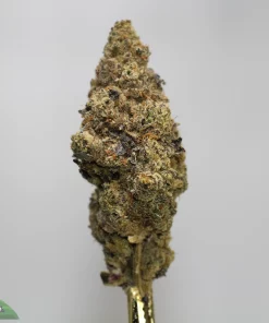 Close-up of a dense cannabis bud covered in crystals on a plain background, with a small logo in the corner.
