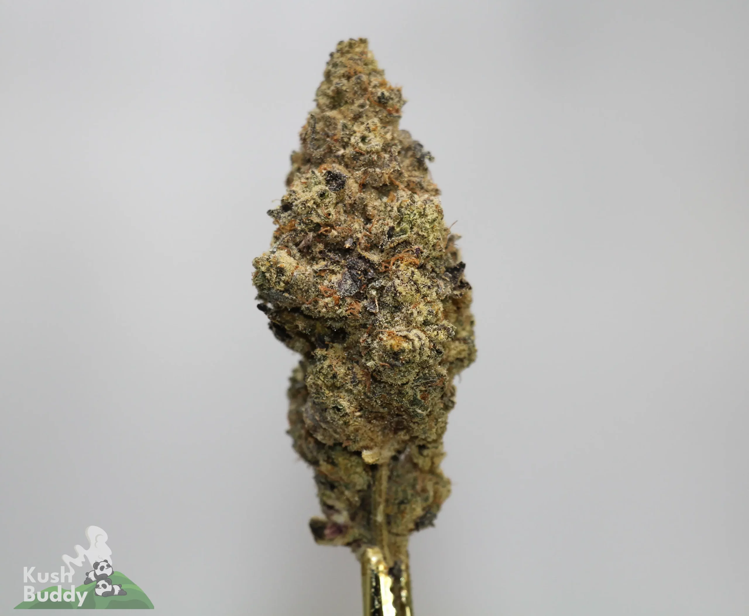 Close-up of a dense cannabis bud covered in crystals on a plain background, with a small logo in the corner.