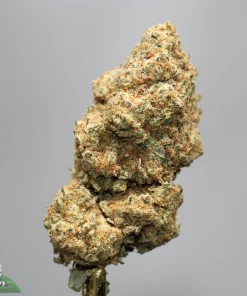 Close-up of a frosty cannabis bud with orange hairs and crystalline trichomes on a gray background (Kush Buddy watermark]