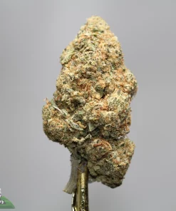 Close-up of a dense cannabis bud on a stem, covered in white trichomes and orange hairs against a gray background. Watermark shows 'Kush Buddy' in the corner.