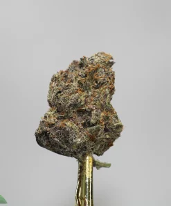 Macro shot of a frosty cannabis bud on a gold stem, with orange hairs and dense trichomes; 'Kush Buddy' logo visible in the lower-left corner