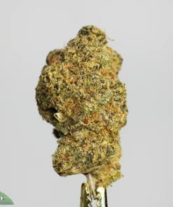 (AAA+) Chemdawg - Image 2