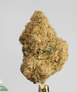 (AAAA) Gorilla Bomb x Icewine