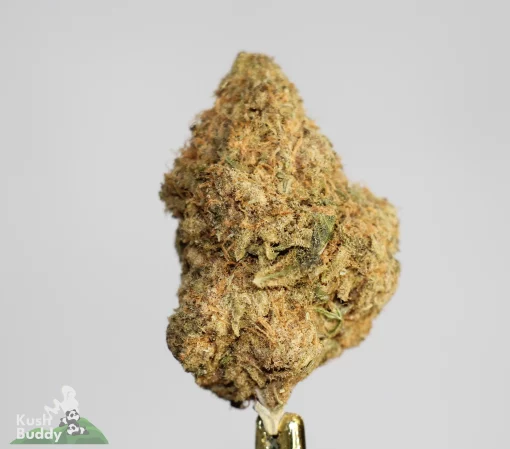 (AAAA - Bulk) Gorilla Bomb x Icewine