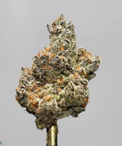 Close-up of a cannabis bud with frosty white trichomes and orange pistils.