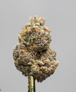 Close-up of a frosty cannabis bud with orange pistils against a gray background, featuring dense trichomes and a Kush Buddy watermark in the bottom-left.