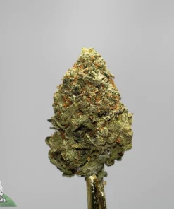 Close-up of a cannabis bud with frosty trichomes and orange pistils against a gray background; Kush Buddy logo in the corner.
