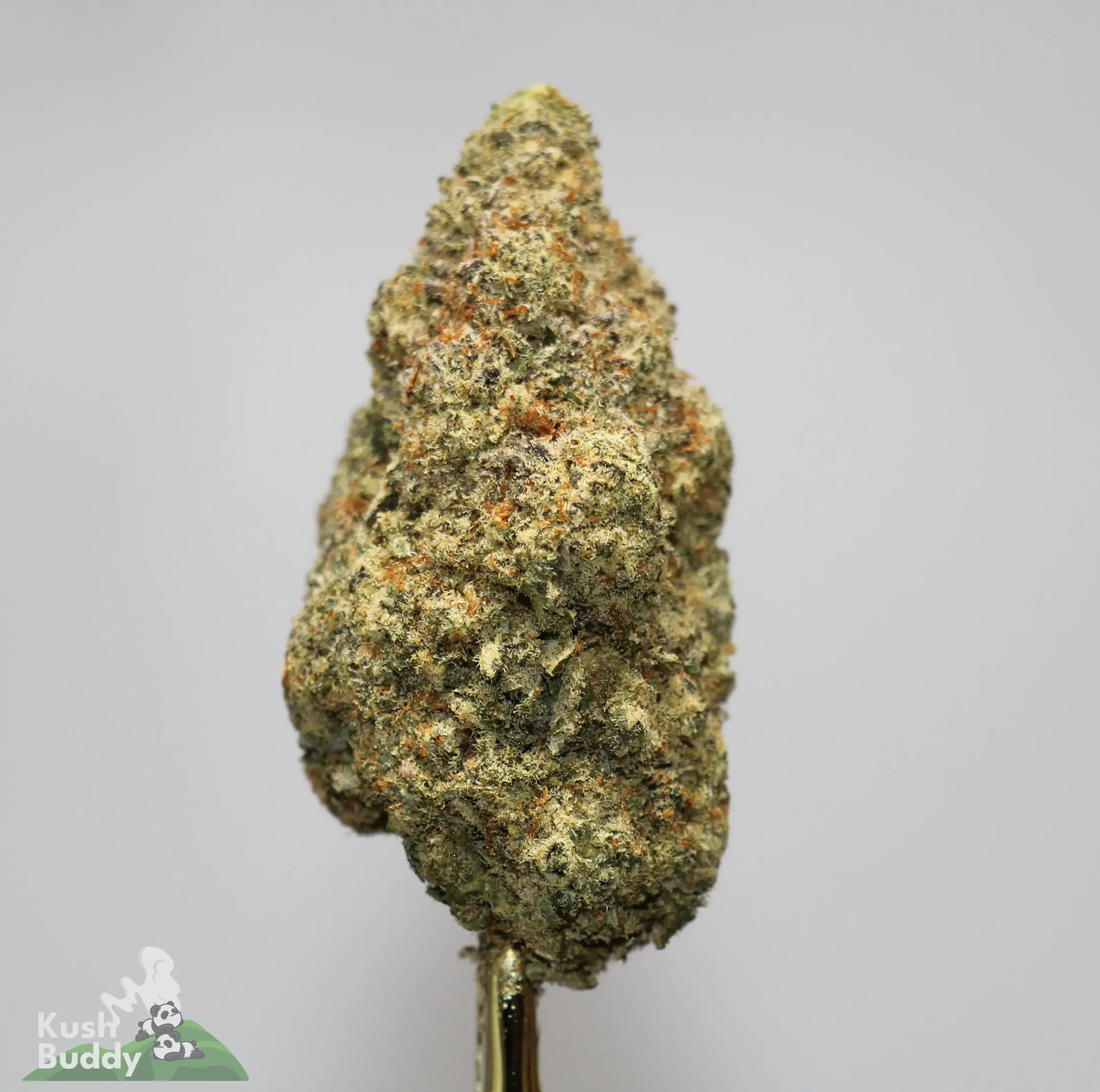 Black Series - Hawaiian Punch - Image 2