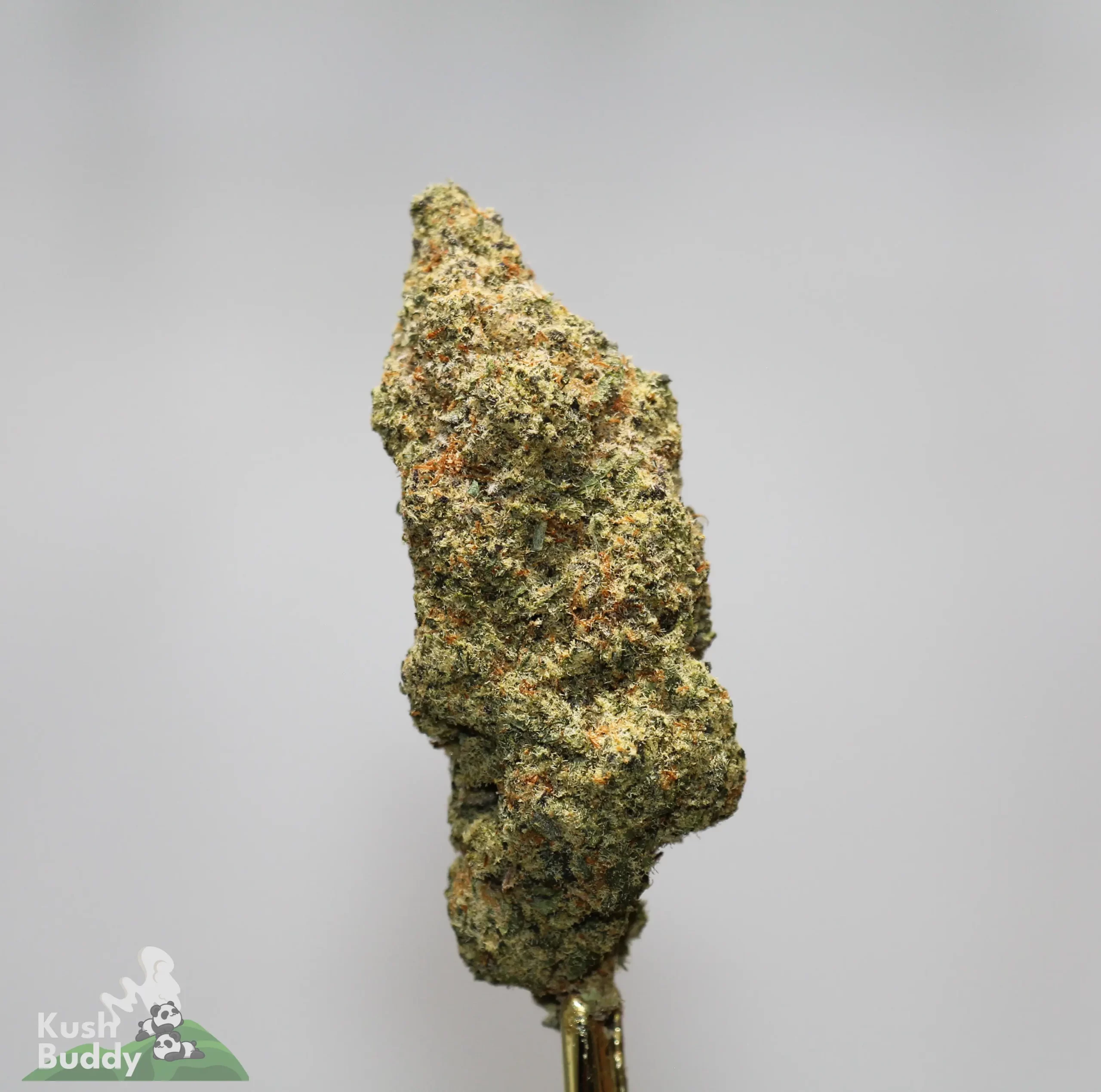 Black Series - Hawaiian Punch - Image 3