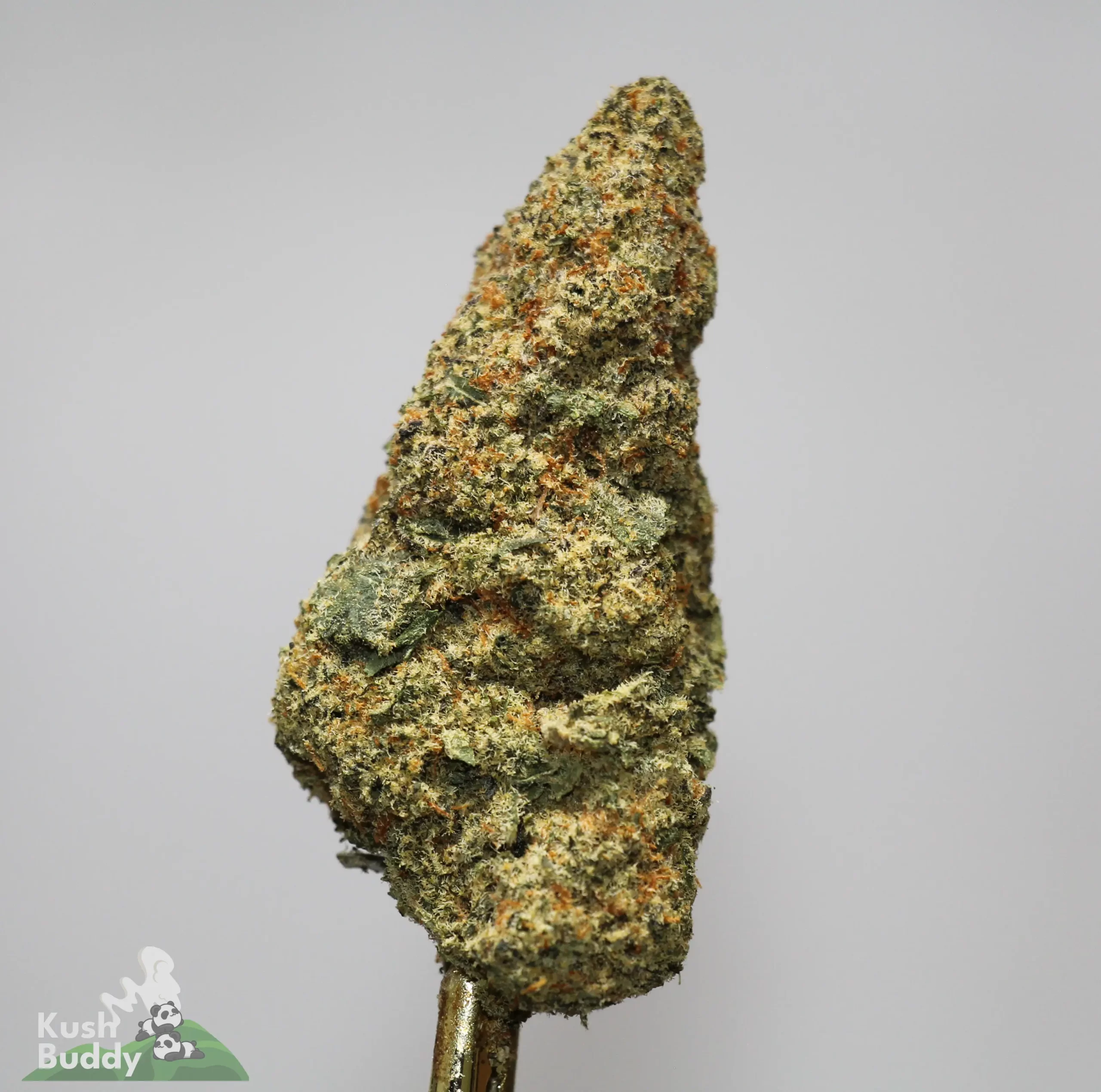 Black Series - Hawaiian Punch