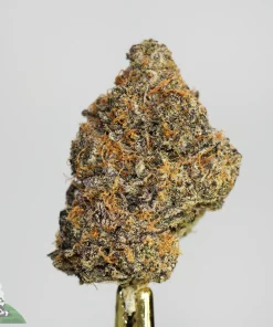 Black Series - Hawaiian Punch