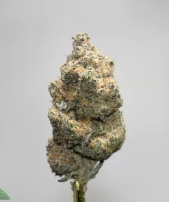 Close-up of a frosty cannabis bud on a stem, covered in trichomes and orange pistils, with a 'Kush Buddy' logo in the bottom-left corner.