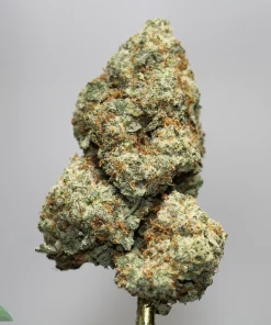 Close-up of a frosty cannabis bud with green crystals and orange pistils on a gold dab tool against a gray background.