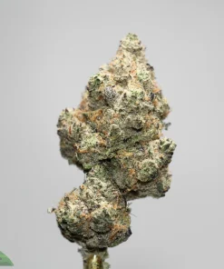 Close-up of frosty cannabis buds on a stem, showing green, orange pistils and a sugary trichome coating.