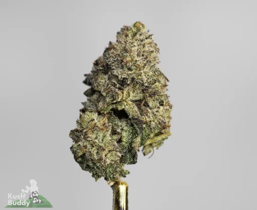 Black Series - Bulk - Lamb's Bread