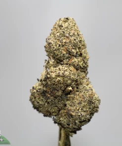Close-up of a dense cannabis bud covered in crystals and orange hairs, with a Kush Buddy watermark in the bottom corner.