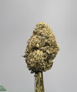 Close-up of a dense cannabis bud on a stem against a gray background, with Kush Buddy watermark visible at the corner.