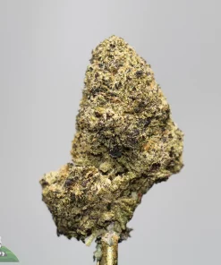 Close-up of a cannabis bud with frosty trichomes and green-brown coloring against a neutral background.