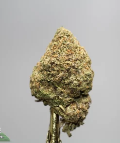 Close-up of a frosty cannabis bud against a gray background, with a Kush Buddy logo in the bottom-left corner.
