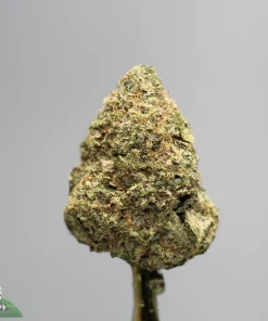 Close-up of a green cannabis bud with frosty trichomes on a stem against a gray background; bottom-left watermark reads 'Kush Buddy'.