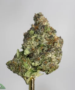 Pink Sticky Icky indica hybrid sweet floral gas aroma
