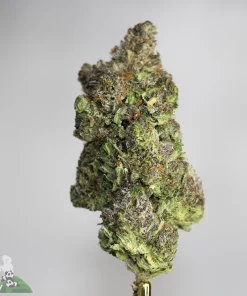 Premium Pink Sticky Icky weed strain Canada