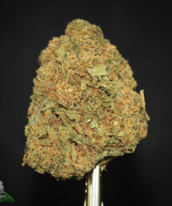 (AAAA-) Pink Sticky Icky