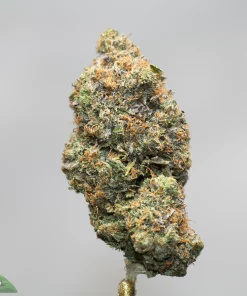 Close-up of a frosty cannabis bud with orange pistils and trichomes against a gray background, on a stem.