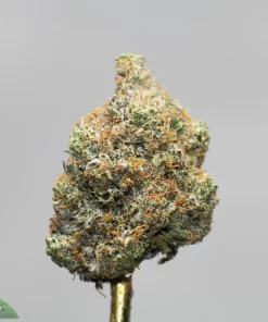 Close-up of a frosty cannabis bud atop a stem, green with orange pistils and visible trichomes; Kush Buddy logo in the bottom-left corner.